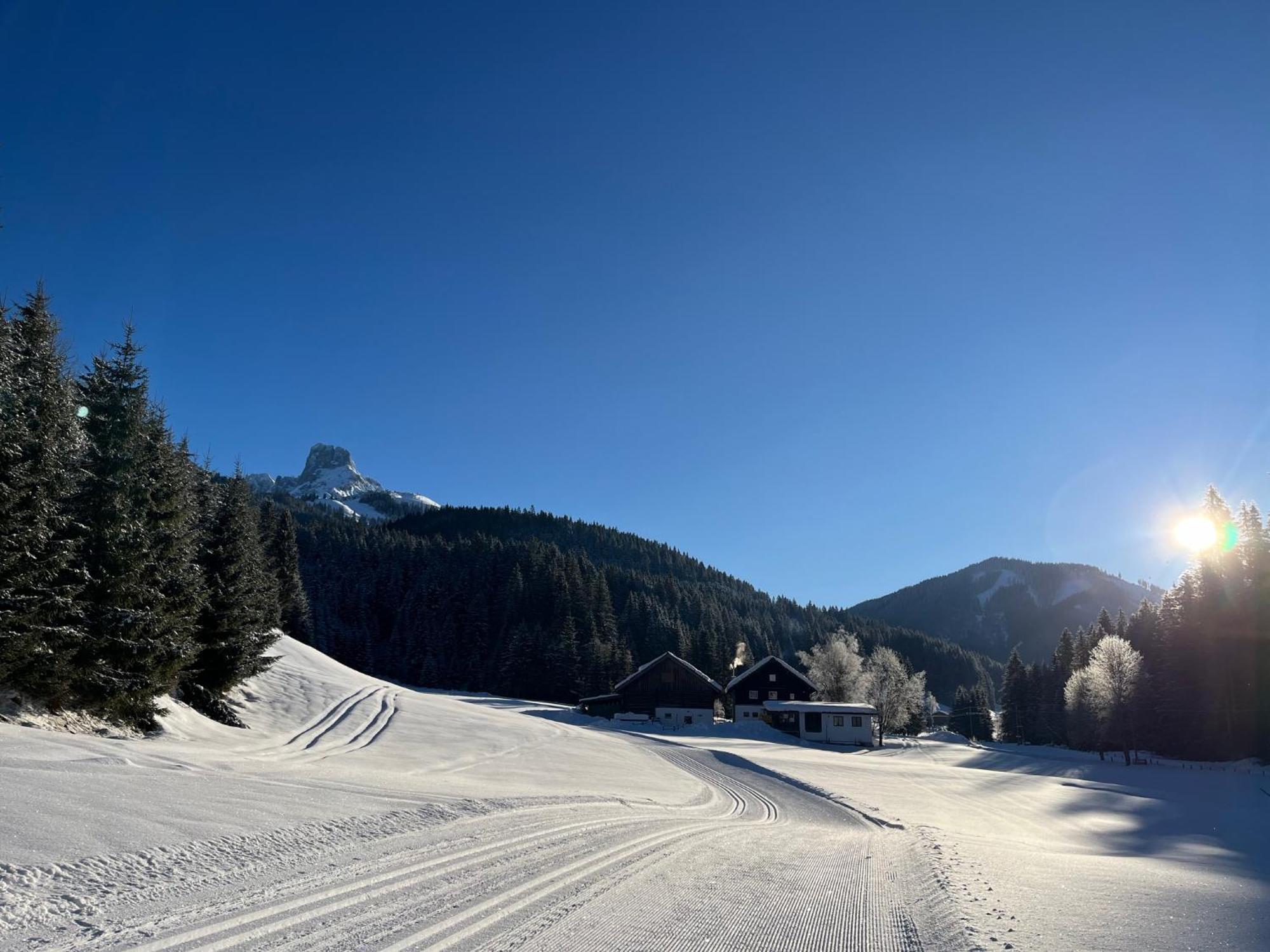 Villa Plaik-Haeusl Annaberg im Lammertal Esterno foto